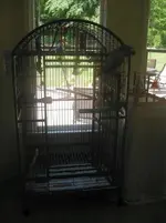 Echo's cage.webp