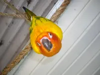 Downloaded 022312 025.webp