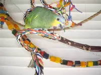 Downloaded 022312 018.webp