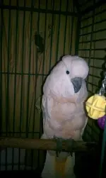 100MEDIA_IMAG0444.webp