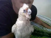 IMG00590-20120229-1659.webp