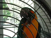 Picture 097.webp