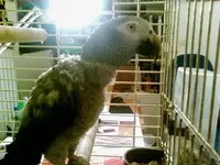SP_A0850.webp