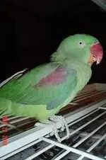DSC00842.webp
