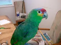 2012-02-28_11.16.57(2).webp