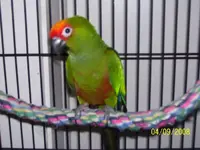 l_6dcd03b5ec7fe5a418e5b3945719d7af.webp