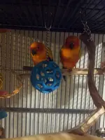 2013-01-19 17.37.12.webp
