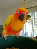 2j5njwo.webp