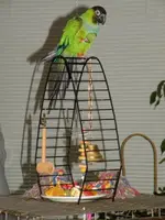 DSCN1061(2).webp