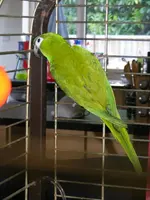 Owen 027.webp