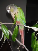 DSCF1318.webp