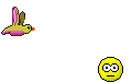 bird poop.gif