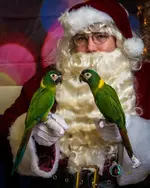 Faith and Liberty.webp