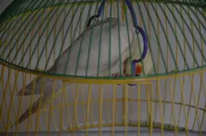 DSC_6521.webp