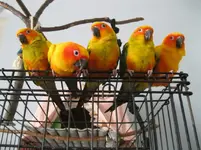 IMG_2490.webp IMG_2490.webp