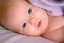 closeup.webp