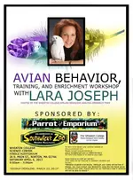 workshopflyer_final2.webp