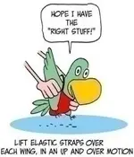 Flightsuit%20Cartoon%203.webp