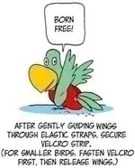 Flightsuit%20Cartoon%204.webp