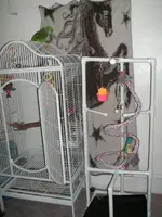 012.webp