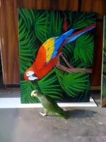 photo-1.webp
