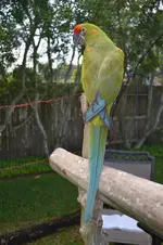 April 1 2012 8.webp