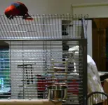 DSC02984.webp