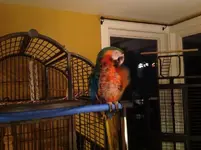 image.webp image.webp