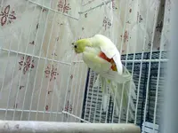 14062010190.webp