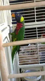 IMAG0795.webp
