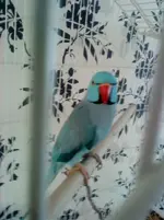 DSC00032.webp