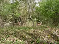 SN850289.webp