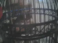 Image07192010162403.webp
