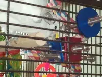2012-04-22 14.25.32.webp