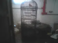 Image07192010162318.webp