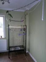 200220131711.webp