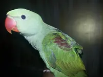 20130221_170443.webp