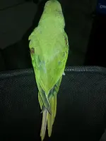 20130221_170518.webp