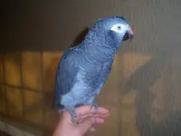 100_7122.webp
