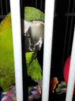 20120429_170145.webp