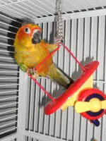 DSCN0197.webp