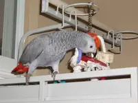 012.webp