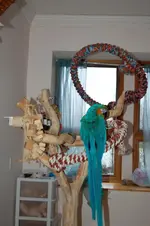DSC_0001_2.webp