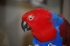 Tina5.webp