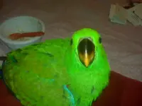 IMG00147.webp IMG00147.webp