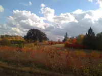 ImageUploadedByTapatalk1362612669.011062.webp