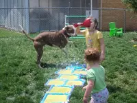 100_0742.webp
