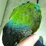 Photo May 09, 6 44 36 AM.webp