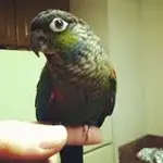 Photo May 09, 6 43 31 AM.webp