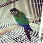 Photo May 05, 2 34 55 PM.webp